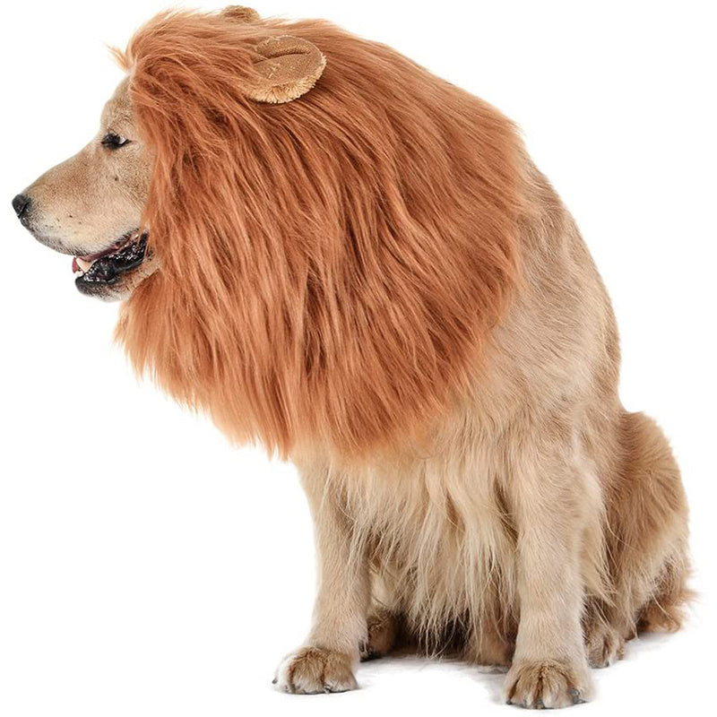 Lion Mane Dog Halloween Costume
