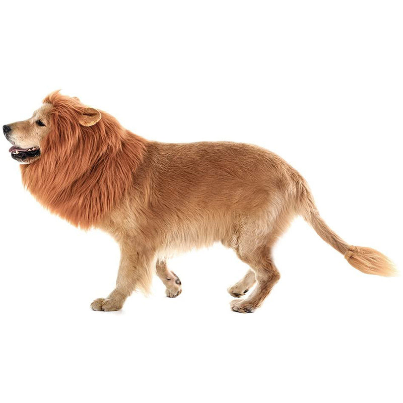 Lion Mane Dog Halloween Costume