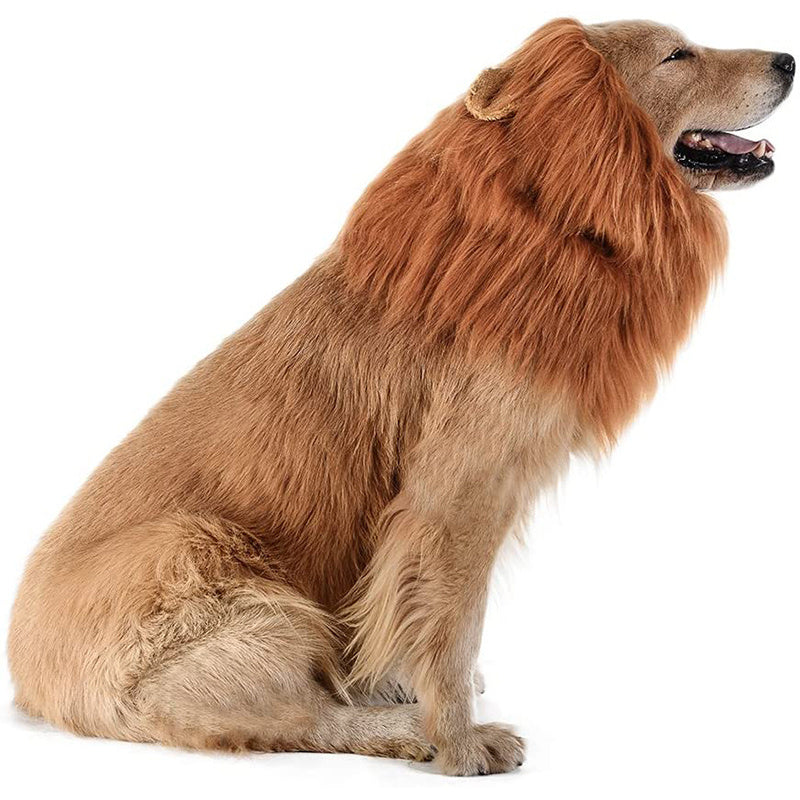 Lion Mane Dog Halloween Costume