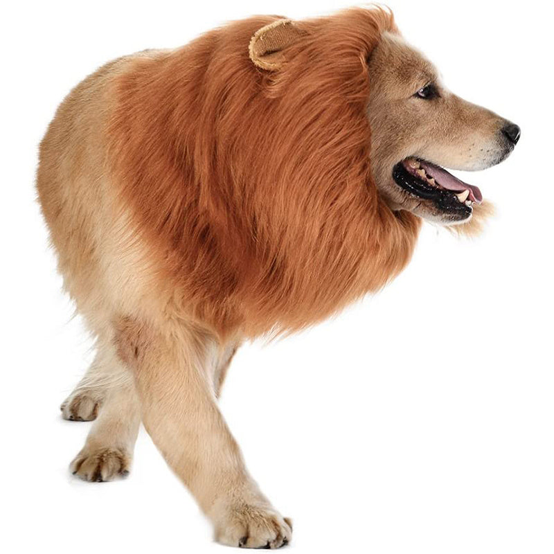 Lion Mane Dog Halloween Costume