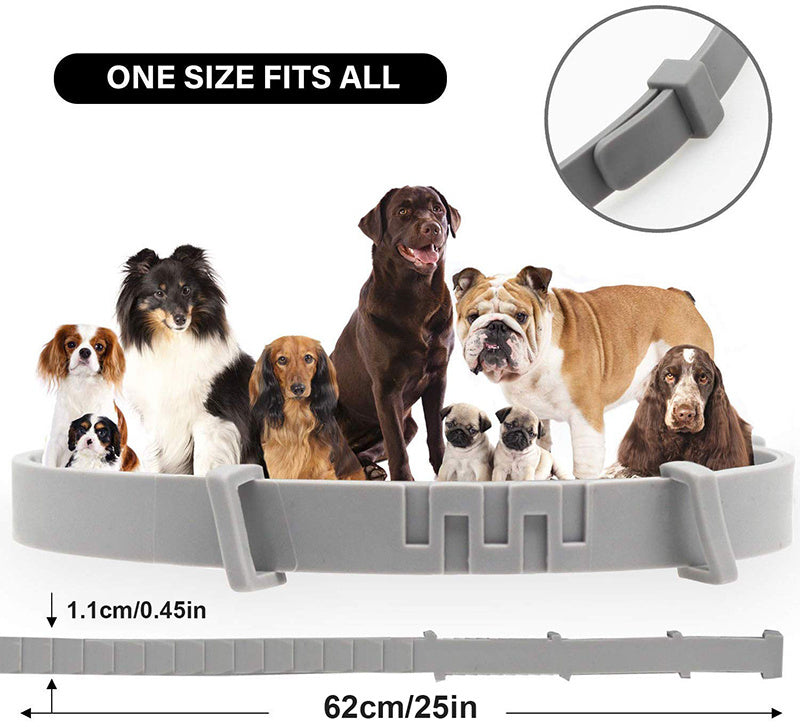 Effective 8 Months Protection Dog Flea Collar