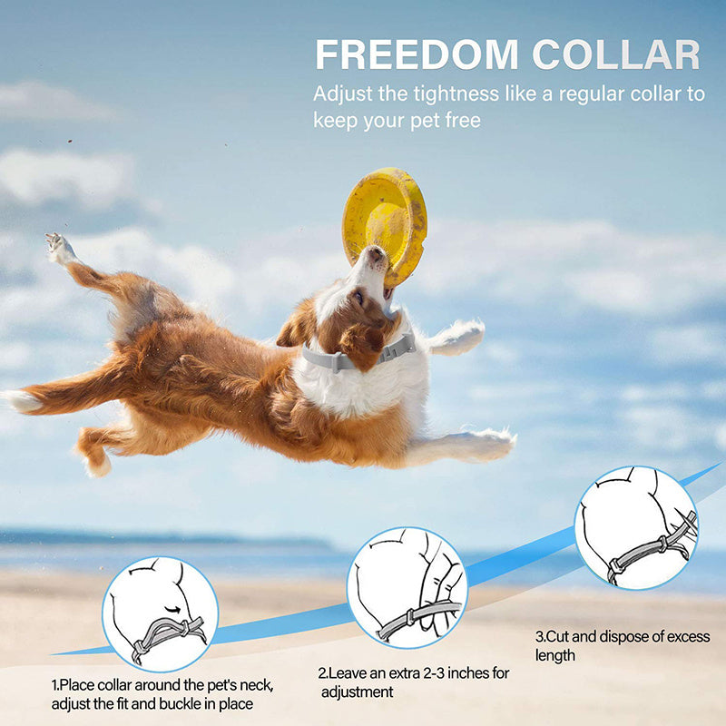 Effective 8 Months Protection Dog Flea Collar