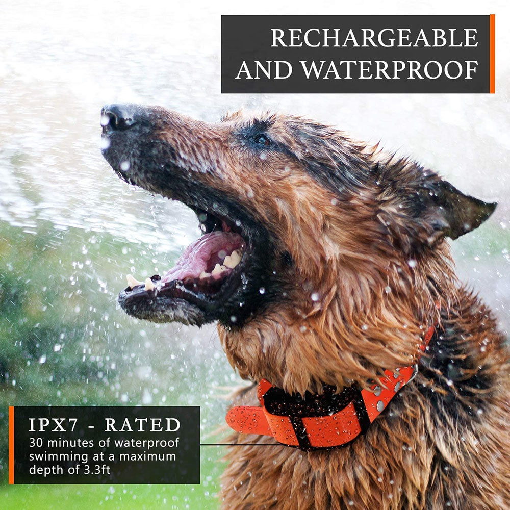 Premium Electric Wired Fence System Dog Collar