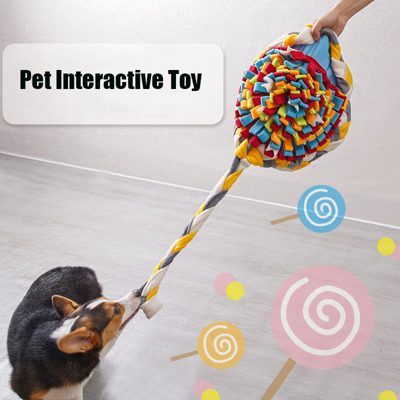 High Quality Intelligence Dogs Snuffle Mat