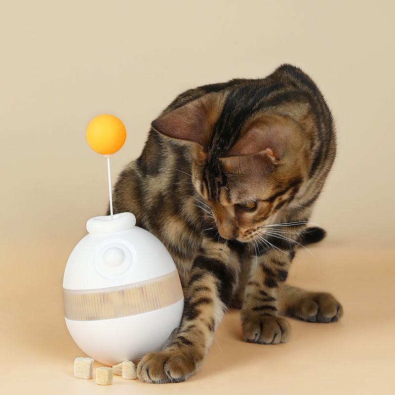 Creative Leaking Food Pets Toys