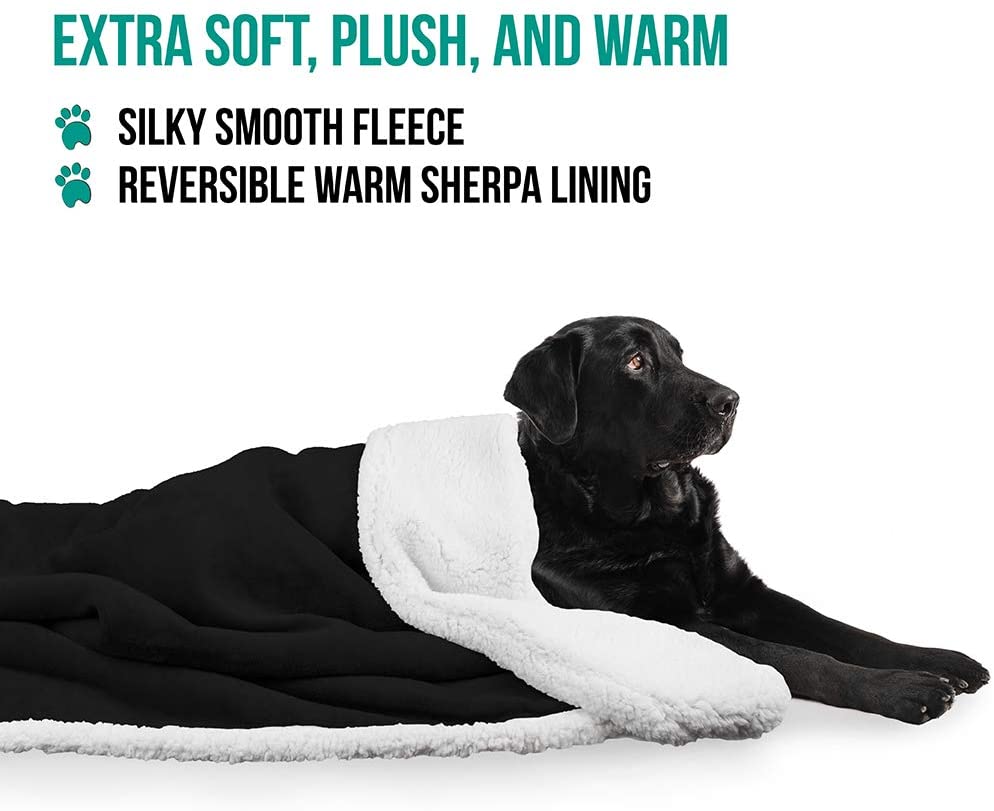 Premium Soft Plush Dog Blanket