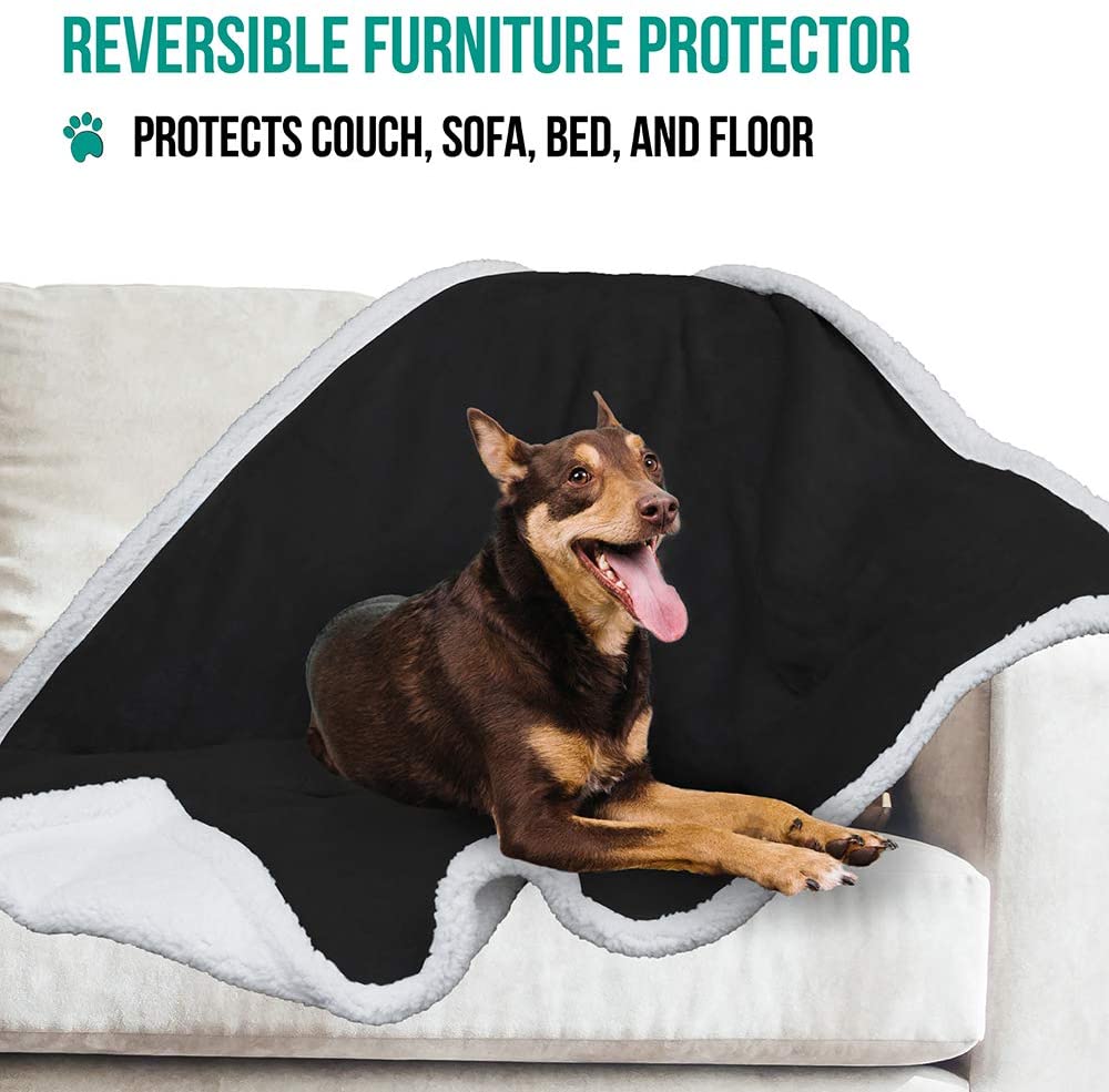 Premium Soft Plush Dog Blanket