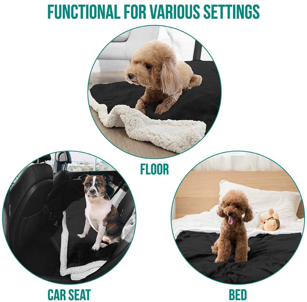 Premium Soft Plush Dog Blanket