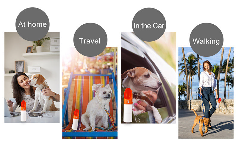 2 In 1 Detachable Dog Water Bottle