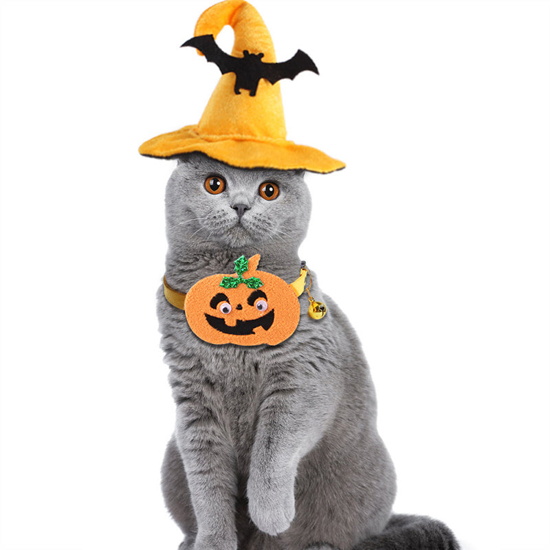 Halloween Witch Pet Cosplay Costume