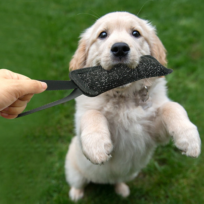 Dog Training Bite Tug Toys