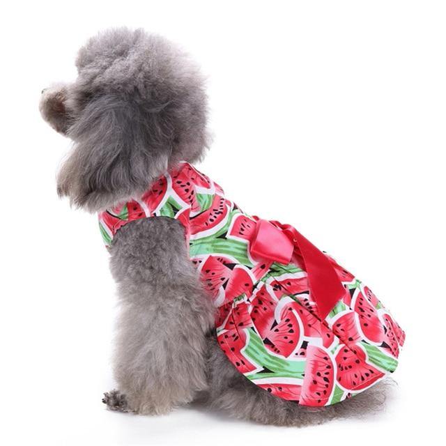 Limited Edition Watermelon Dog Dress - Bark ‘n’ Paws