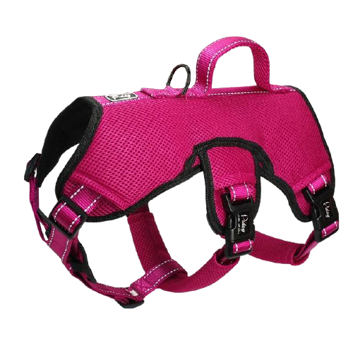 Reflective Quick Control Dog Harness