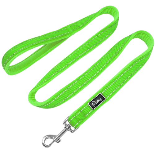 Soft Nylon Padded Dog Leash