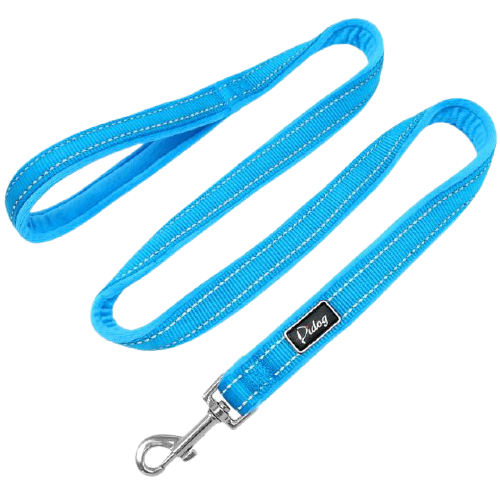 Soft Nylon Padded Dog Leash