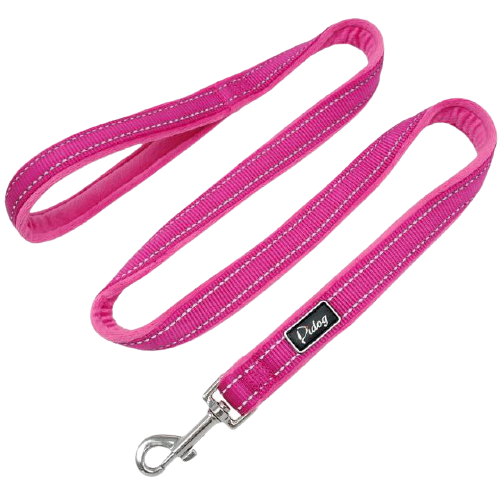 Soft Nylon Padded Dog Leash