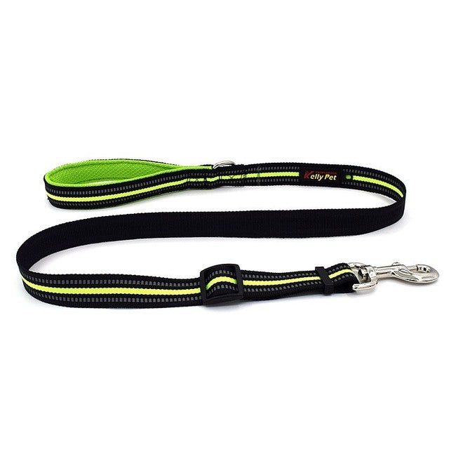 Lightweight Reflective Nylon Pet Leash