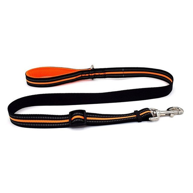 Lightweight Reflective Nylon Pet Leash
