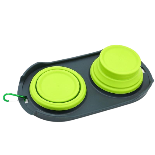 Outdoor Silicone Double Dog Bowl