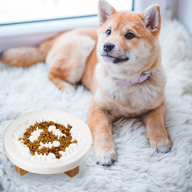 Elevated Ceramic Dog Slow Feeding Bowl