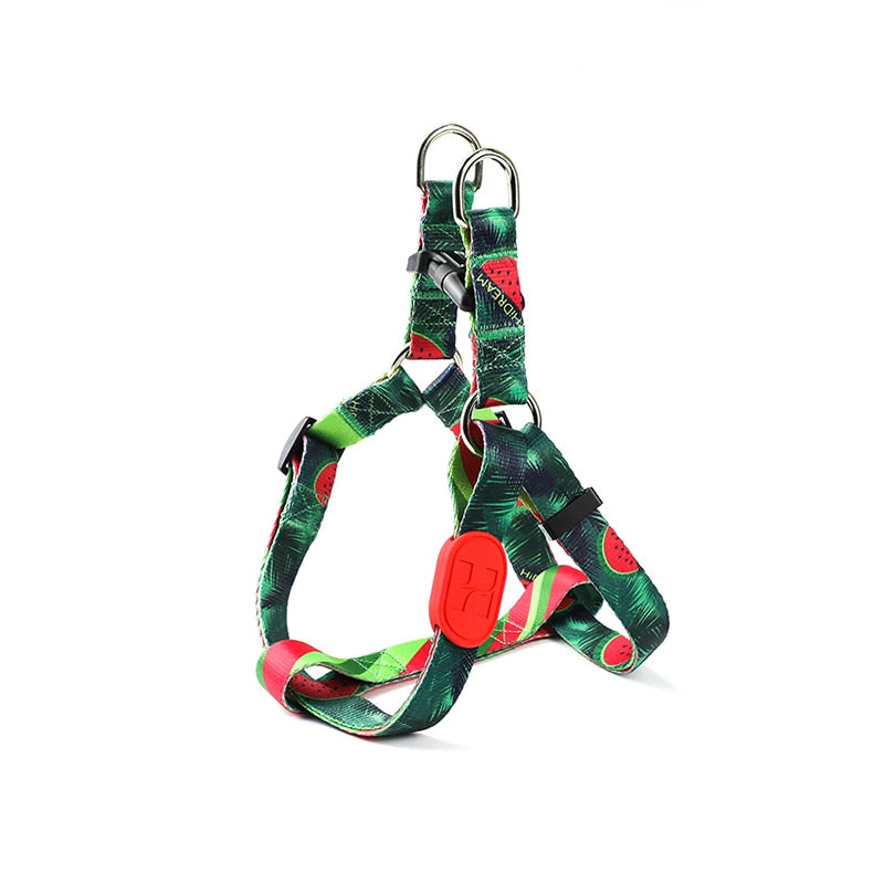 Profusion Series Pet Dog Harness