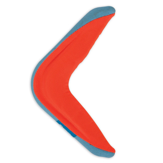 Interactive Boomerang Fun Dog Toys