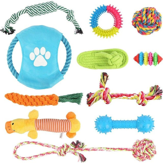 Interactive 11 Piece Dog Fun Toy Combo Pack