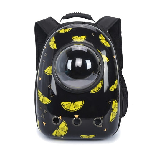 Double Shoulder Pet Backpack