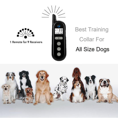 1000ft USB Rechargeable Dog Training Collar