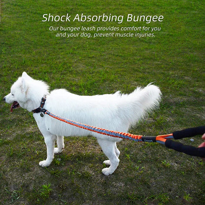 Strong Reflective Extendable Dog Lead