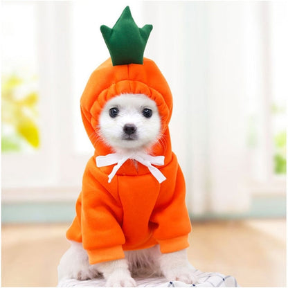 Dog Winter Cute Warm Hoodies