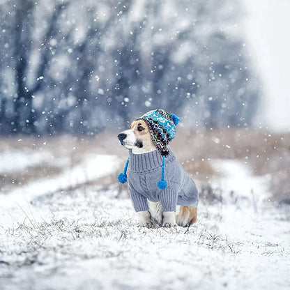 Classic Turtleneck Thick Warm Dog Sweater