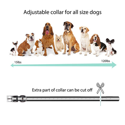 800M Remote Control Dog Training Collar