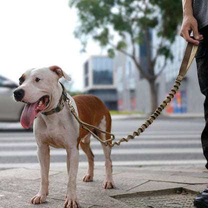 Elite Outdoor Tactical Dog Bungee Leash
