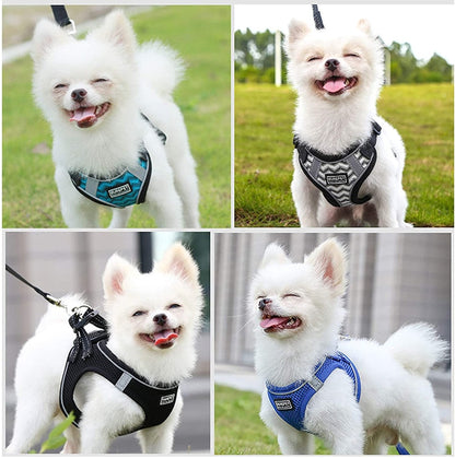 Durable No Pull Dog Harness & Leash