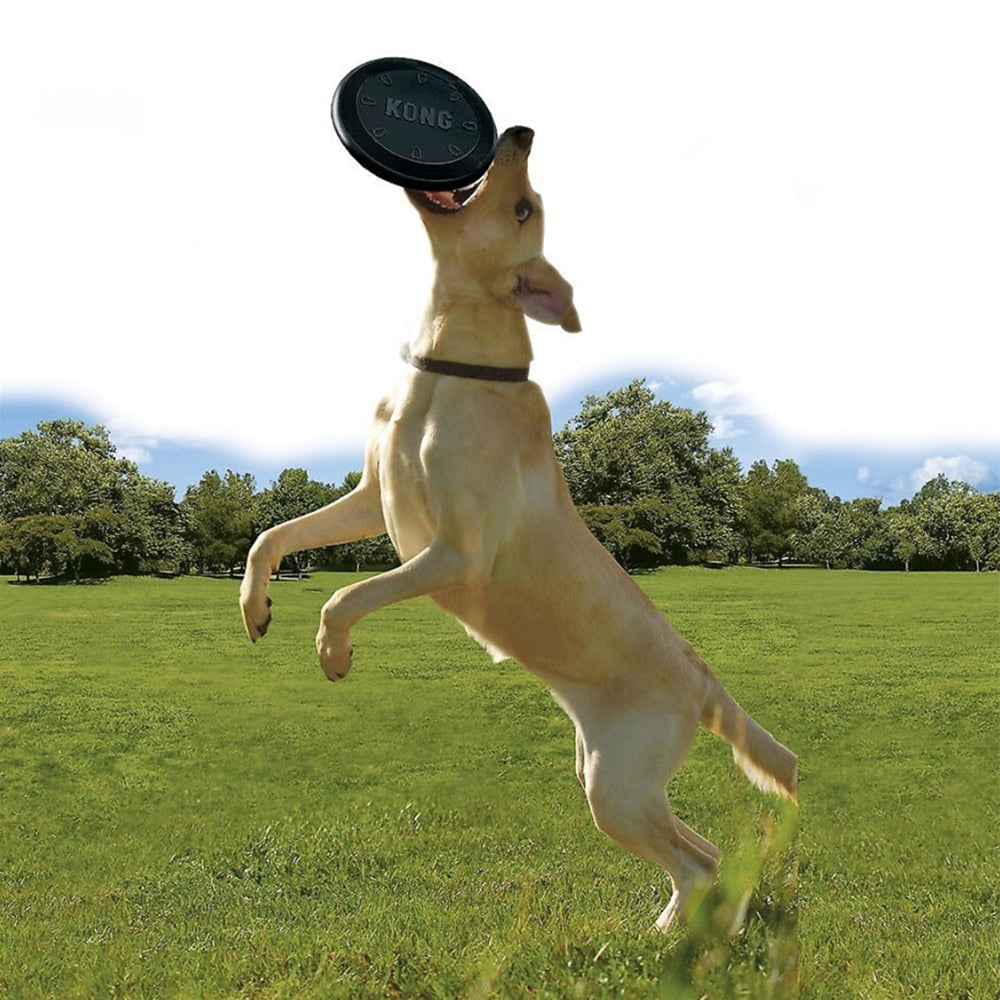 Extreme Flyer Dog Toy