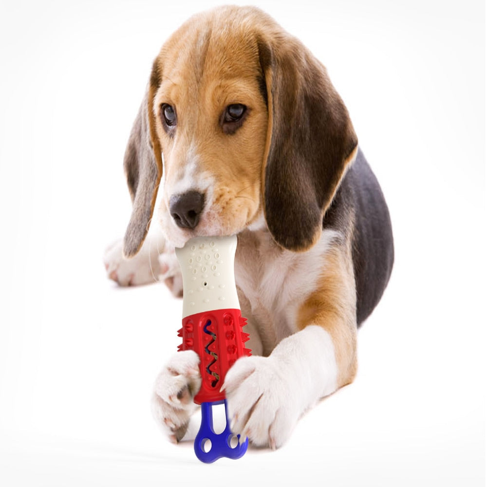 Extra Tough Dog Molar Toothbrush Toys