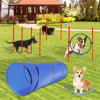 Dog Training Agility Equipment Full Set