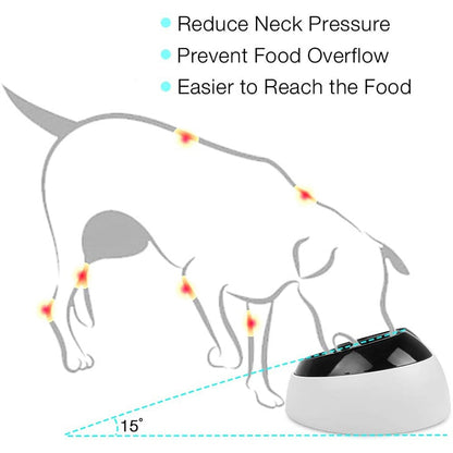 Safe Slanted Durable Dog Bowl