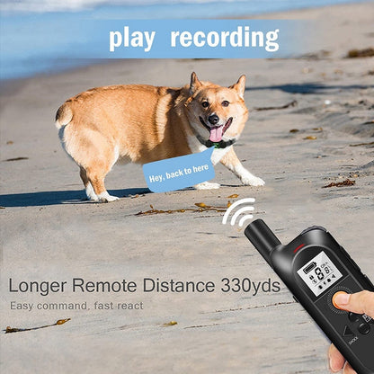1600ft Remote Dog Training Collar