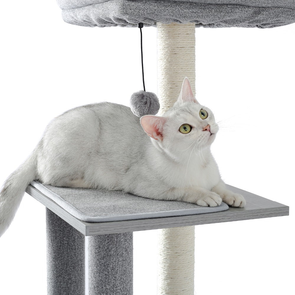 Multi Level Modern Cat Tree Tower