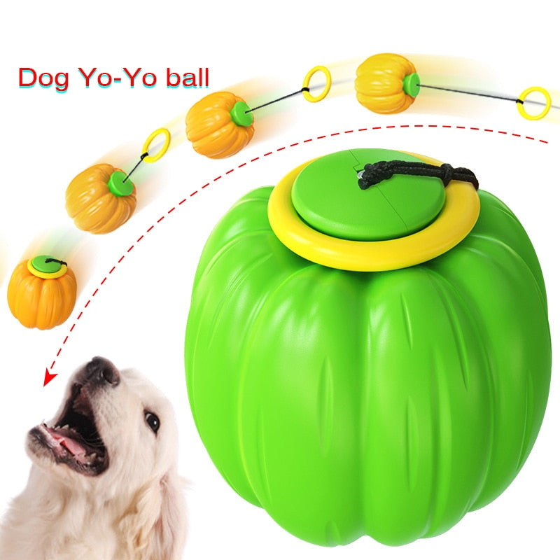 Dog Pumpkin Toy Ball With Retractable Rope