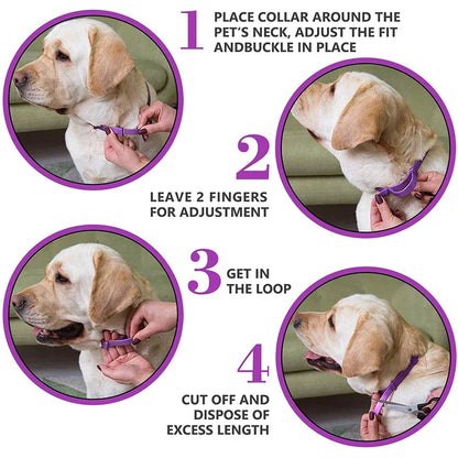 Lasting Natural Calming Dog Collar