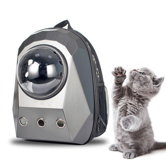 Double Shoulder Space Capsule Dog Backpack
