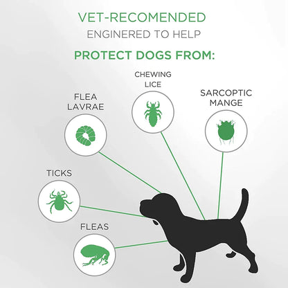 Hypoallergenic Safe Dog Flea & Tick Collar