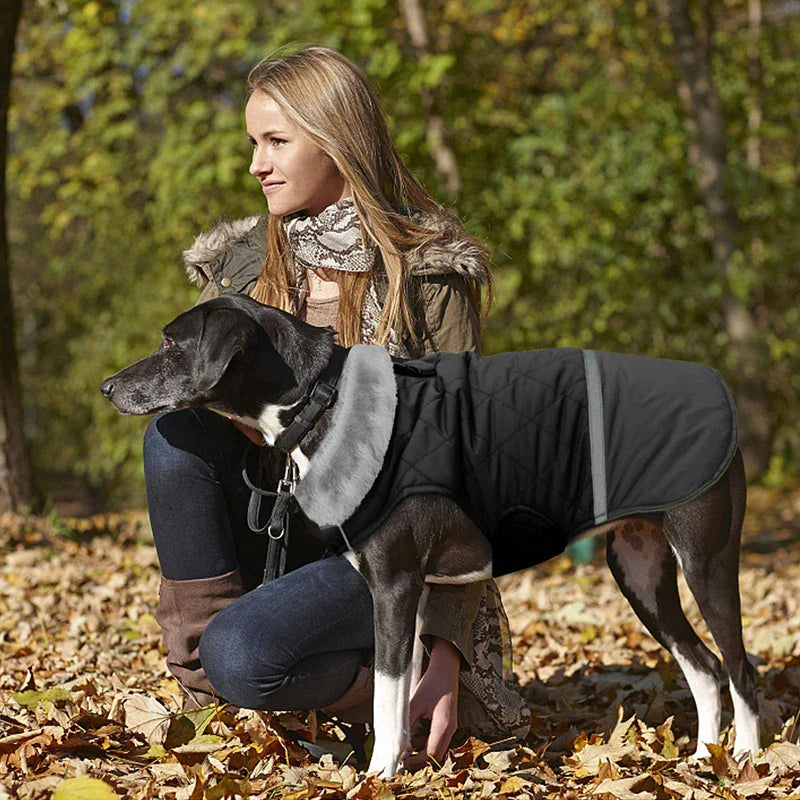 Reversible Winter Fleece Collar Dog Coat