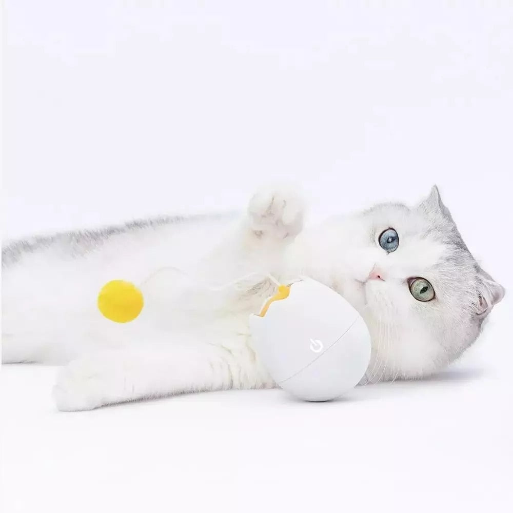 Electronic Interactive Cat Teaser Fun Toys