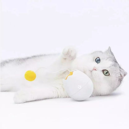 Electronic Interactive Cat Teaser Fun Toys