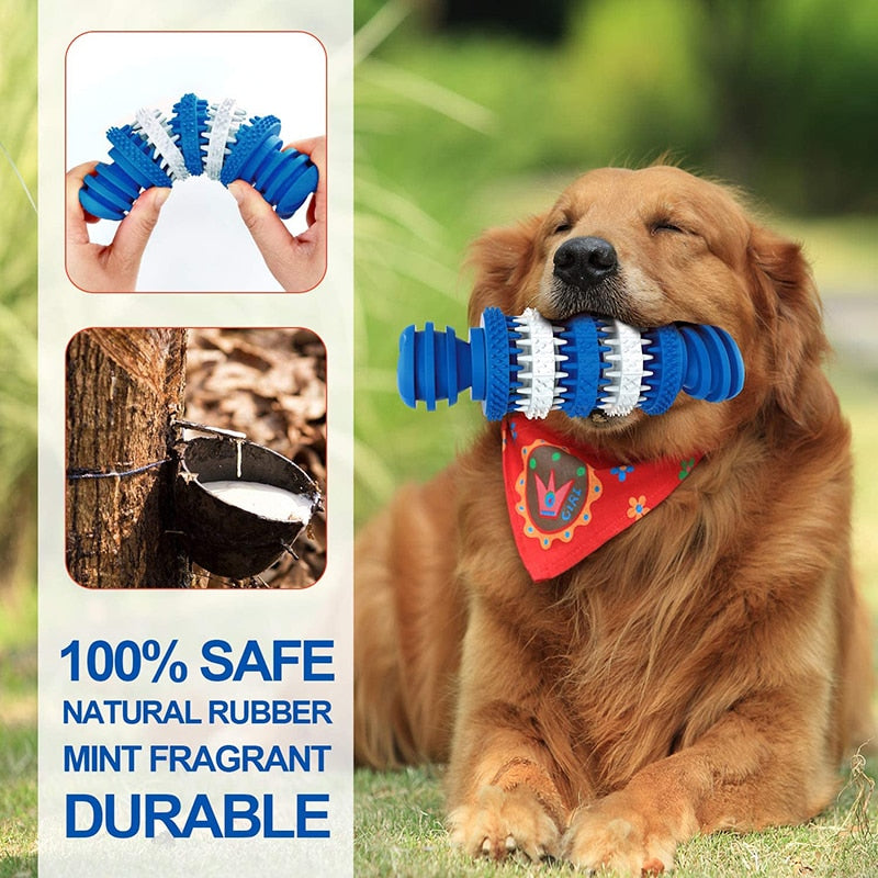 Durable Dog Toys For Aggressive Chewers
