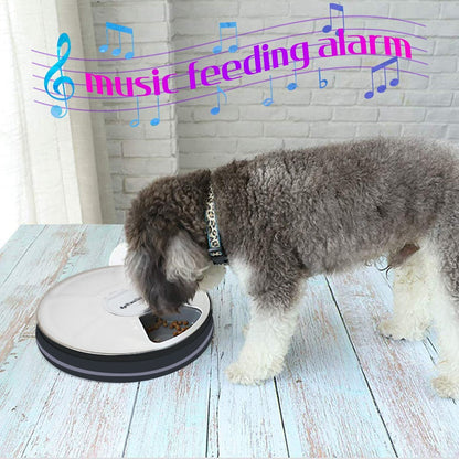 High Quality 6 Meals Dog Automatic Feeder